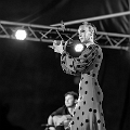 flamenco (73)